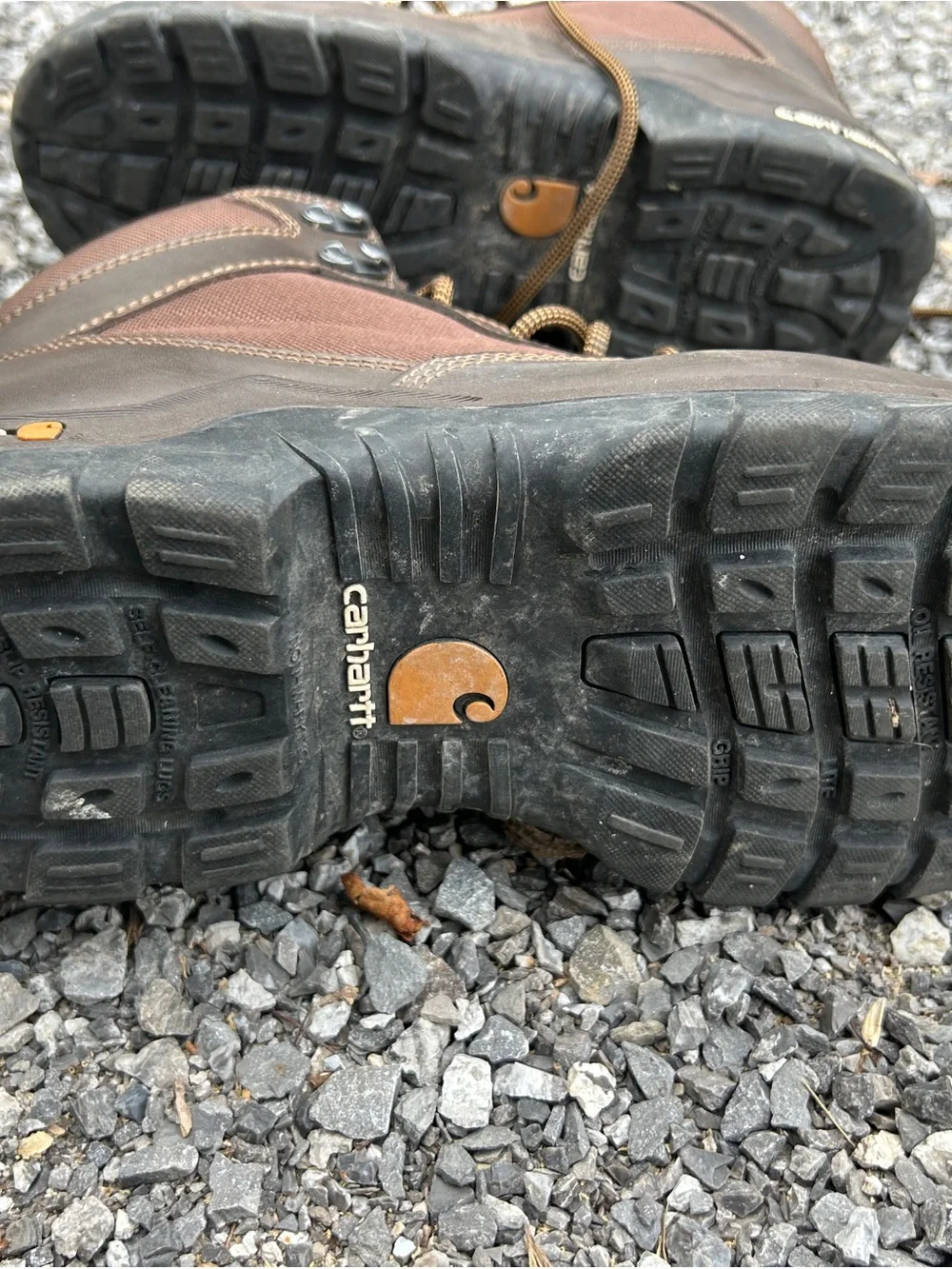Carhartt Men's CMF6284 6